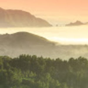 Meet your Posher, Ryanne